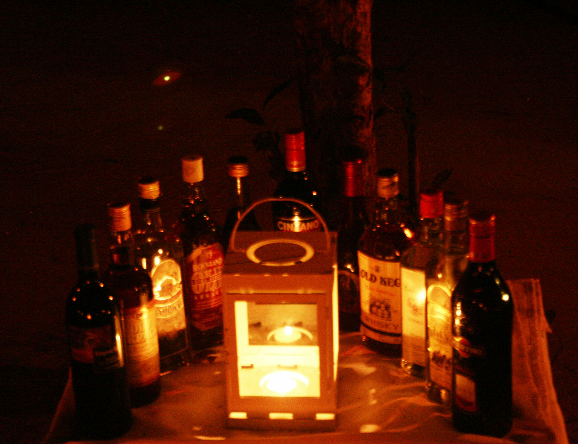 Mahoora Tented Safari Camp 우다왈라웨 외부 사진