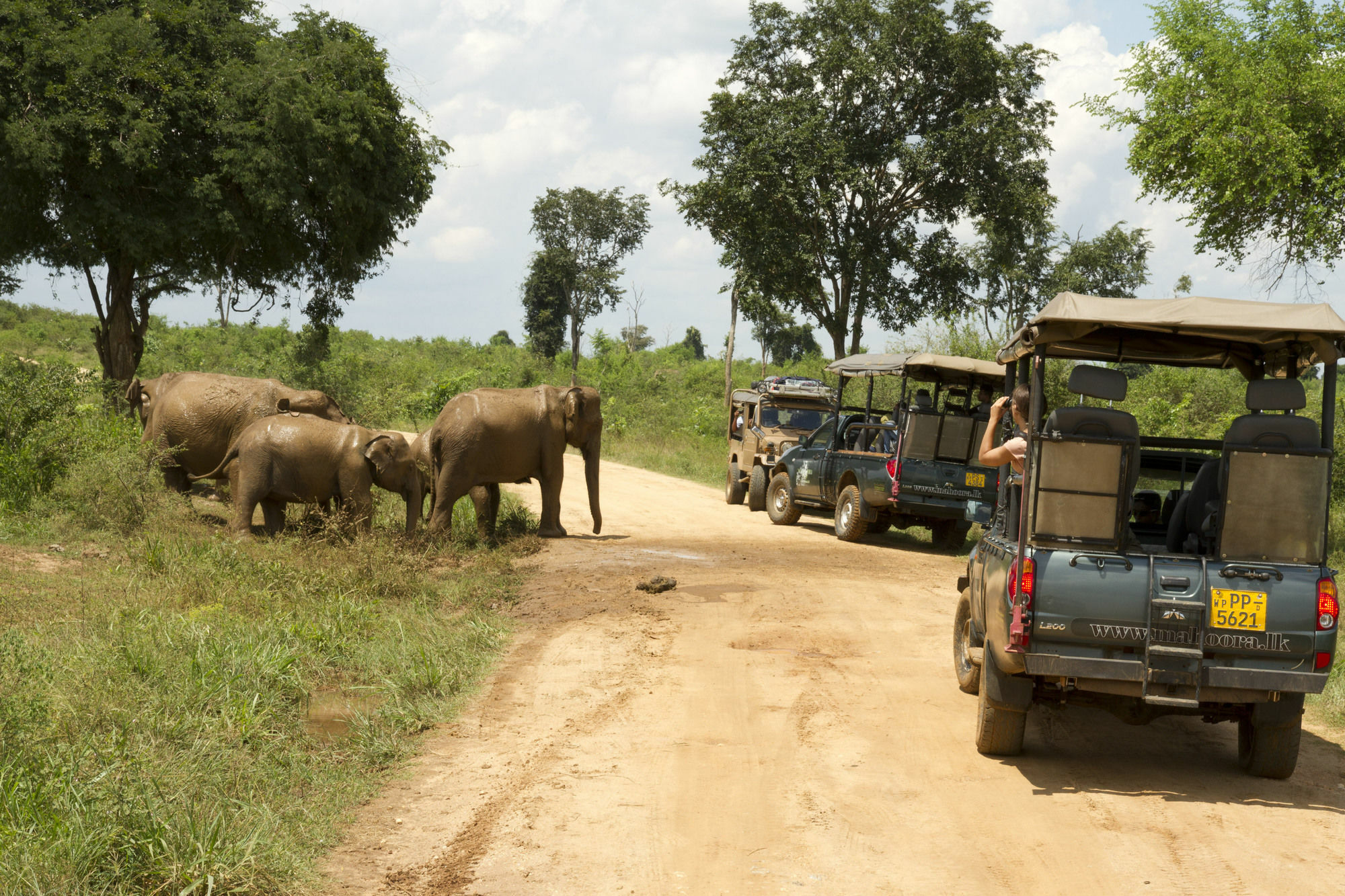 Mahoora Tented Safari Camp 우다왈라웨 외부 사진