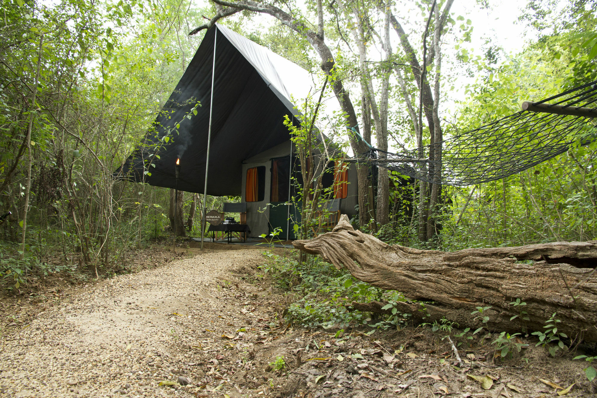 Mahoora Tented Safari Camp 우다왈라웨 외부 사진